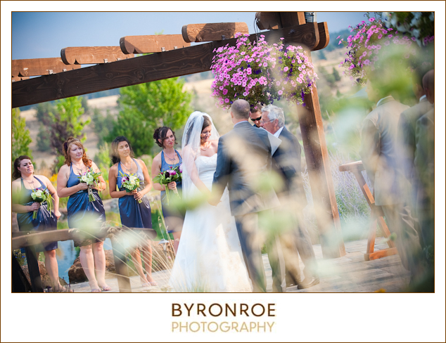 faith-hope-charity-vineyard-wedding-amytj-brp-25