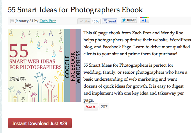 55 Smart Web Ideas for Photographers E-Book by Wendy Roe and Zach Prez