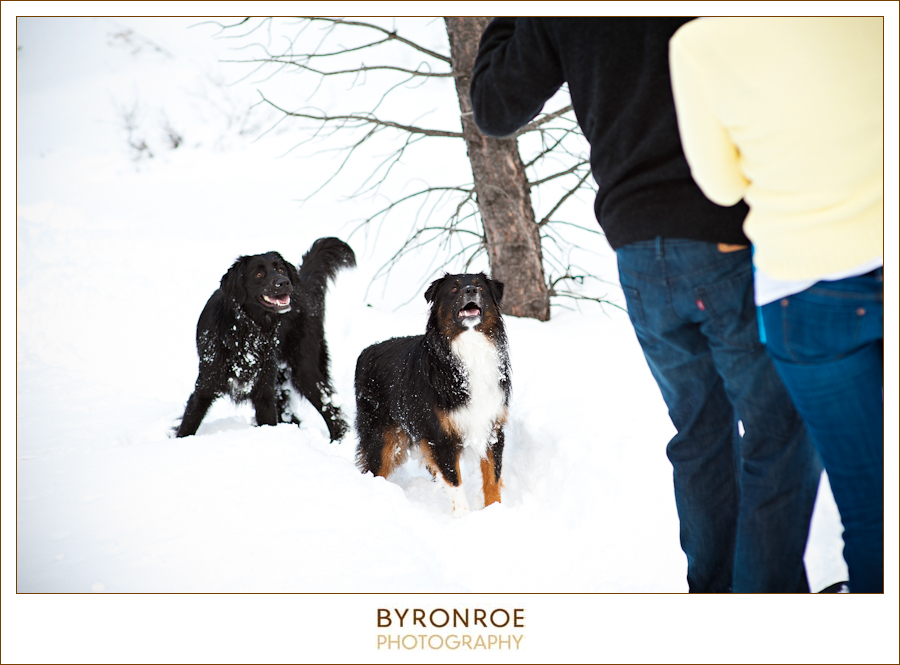 katy-andy-engagement-pictures-bend-oregon-byronroephotography-18